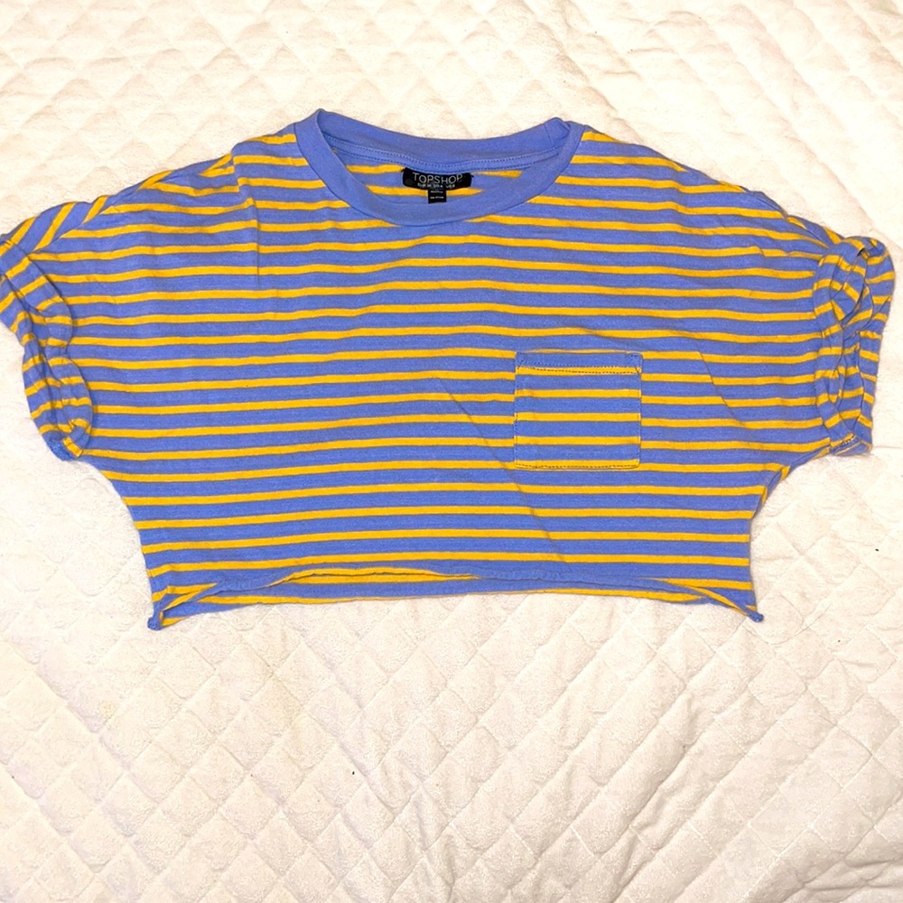 Stripped Crop Top